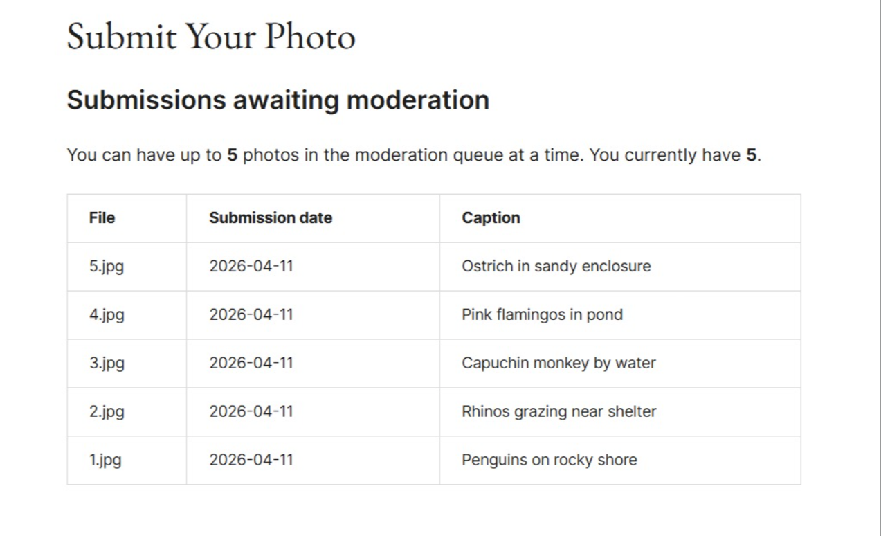 Pantalla de submissions del directorio de fotos de WordPress mostrando 5 fotos en cola de moderación